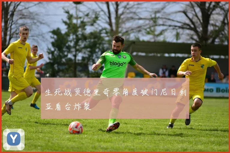 生死战莫德里奇零角度破门尼日利亚看台炸裂