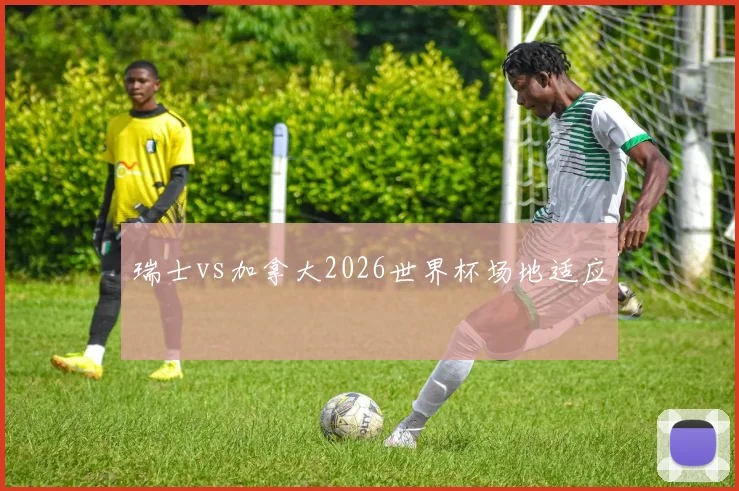 瑞士vs加拿大2026世界杯场地适应