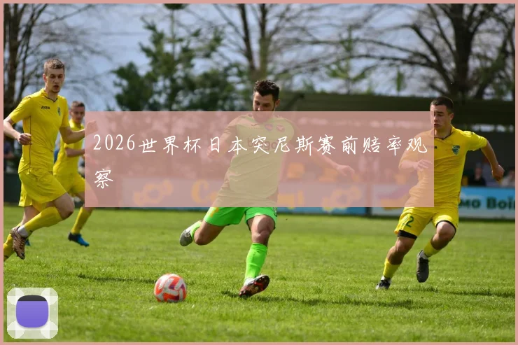 2026世界杯日本突尼斯赛前赔率观察