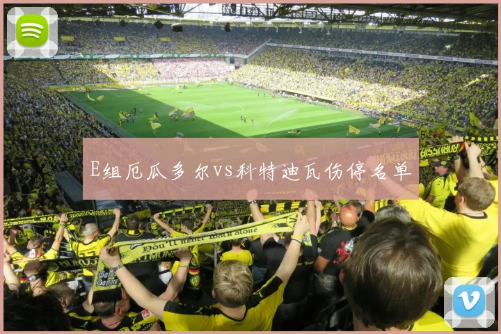 E组厄瓜多尔vs科特迪瓦伤停名单
