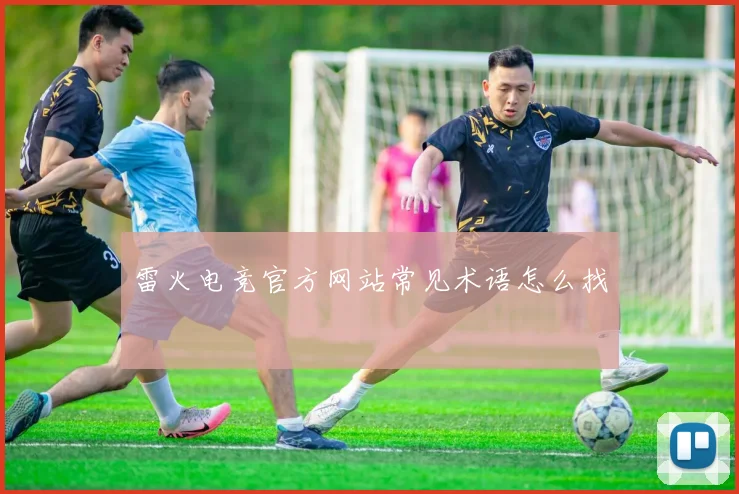 雷火电竞官方网站常见术语怎么找
