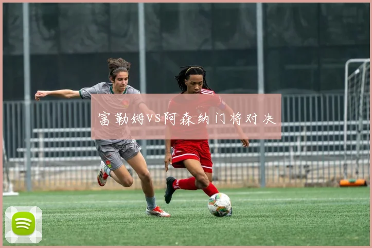 富勒姆vs阿森纳门将对决