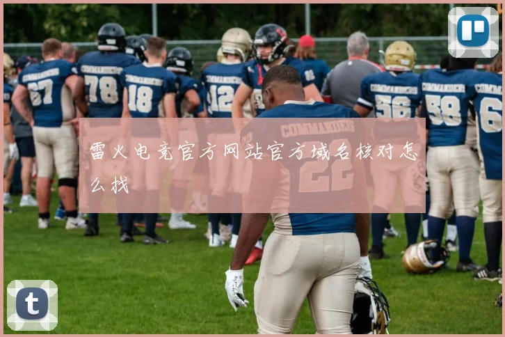 雷火电竞官方网站官方域名核对怎么找