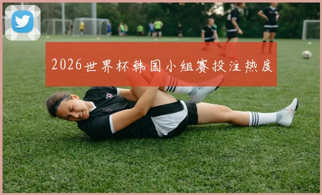 2026世界杯韩国小组赛投注热度